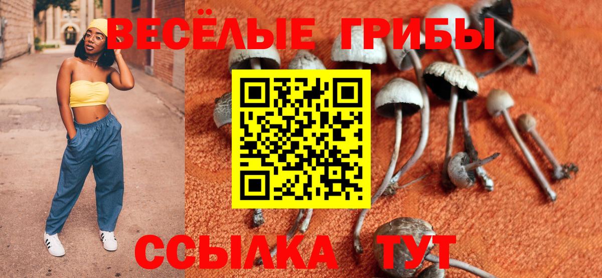 Гашиш  Конопля  ГАШ  Заволжье  Вход с VPN  МЕФ кристаллы 