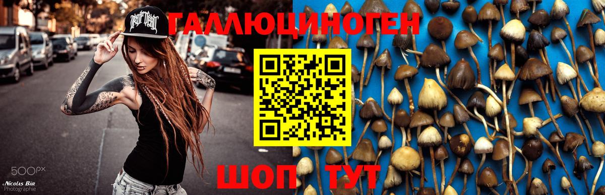 Галлюциногенные грибы MAGIC MUSHROOMS  Галлюциногенные грибы Magic Shrooms  Заволжье  Вход с VPN 